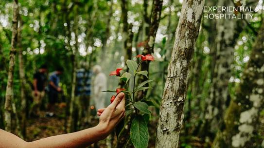 SUSTAINABLE TOURISM: TRANSFORMING LIVES AND THE INDUSTRY OF HAPPINESS