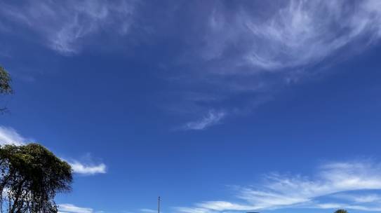 Coffee Table Chat with Julieta Chan | Building with Intention & Designing for Impact 