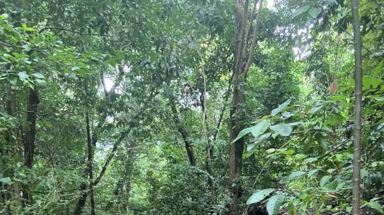 Coffee Table Chat with Julieta Chan | Between Structure & Soul